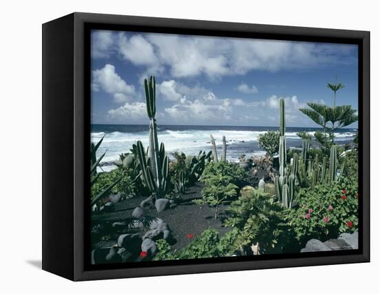 Garden by the Atlantic Ocean, El Golfo, Lanzarote, Canary Islands, Spain, Europe-Jean Brooks-Framed Premier Image Canvas