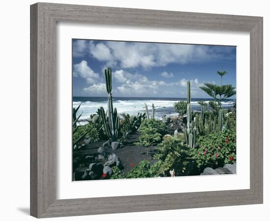 Garden by the Atlantic Ocean, El Golfo, Lanzarote, Canary Islands, Spain, Europe-Jean Brooks-Framed Photographic Print
