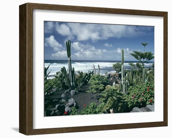 Garden by the Atlantic Ocean, El Golfo, Lanzarote, Canary Islands, Spain, Europe-Jean Brooks-Framed Photographic Print