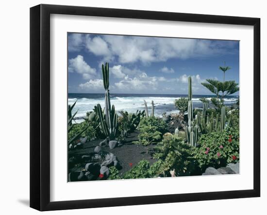 Garden by the Atlantic Ocean, El Golfo, Lanzarote, Canary Islands, Spain, Europe-Jean Brooks-Framed Photographic Print