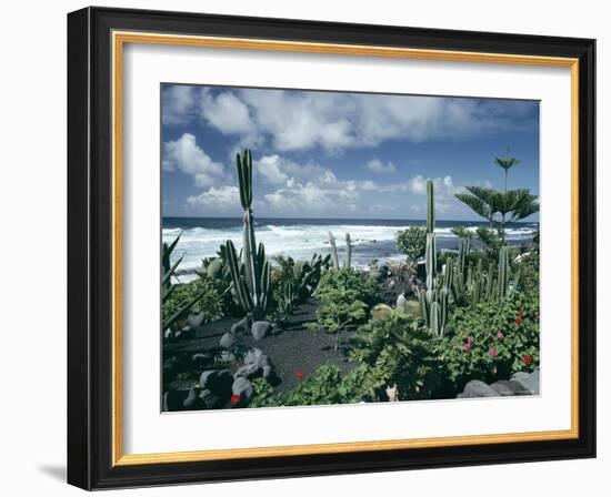 Garden by the Atlantic Ocean, El Golfo, Lanzarote, Canary Islands, Spain, Europe-Jean Brooks-Framed Photographic Print