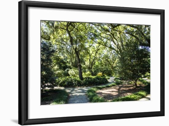 Garden by the Sea II-Alan Hausenflock-Framed Photographic Print