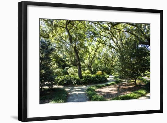 Garden by the Sea II-Alan Hausenflock-Framed Photographic Print
