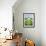 Garden by the Sea-Mark Baring-Framed Giclee Print displayed on a wall