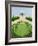 Garden by the Sea-Mark Baring-Framed Giclee Print