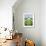 Garden by the Sea-Mark Baring-Framed Giclee Print displayed on a wall