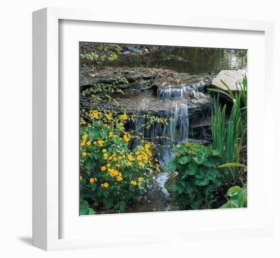 Garden Cascade-null-Framed Art Print