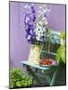 Garden Chair with Delphiniums and Plate of Strawberries-Linda Burgess-Mounted Photographic Print