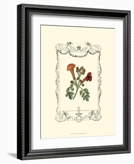 Garden Charm IV-null-Framed Art Print