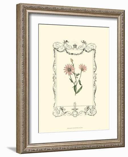 Garden Charm VI-null-Framed Art Print