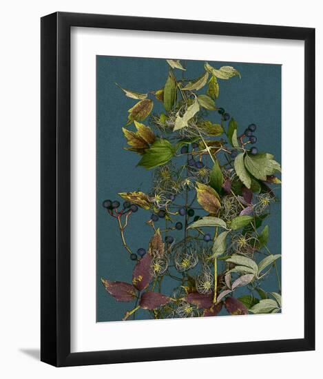 Garden, Clematis blue green Vines-null-Framed Art Print