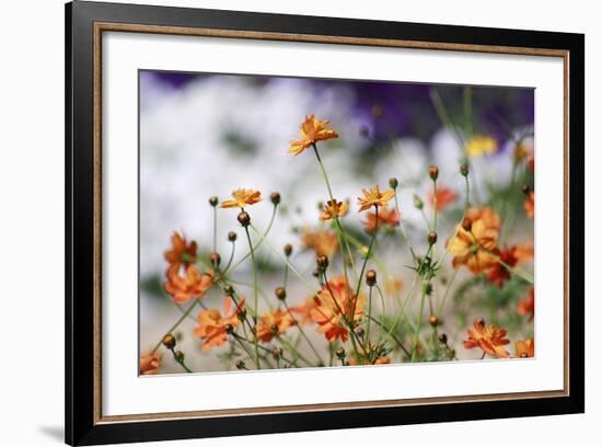 Garden Conversations-Incredi-Framed Photographic Print