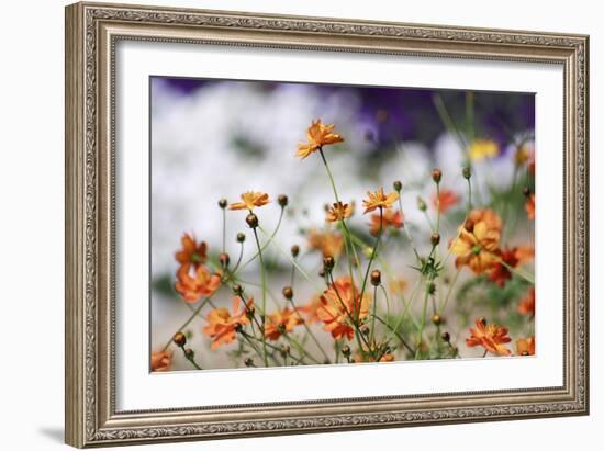 Garden Conversations-Incredi-Framed Photographic Print