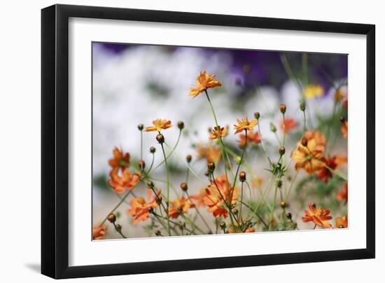 Garden Conversations-Incredi-Framed Photographic Print