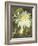 Garden Dahlias VII-George Johnson-Framed Photographic Print