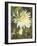 Garden Dahlias VII-George Johnson-Framed Photographic Print