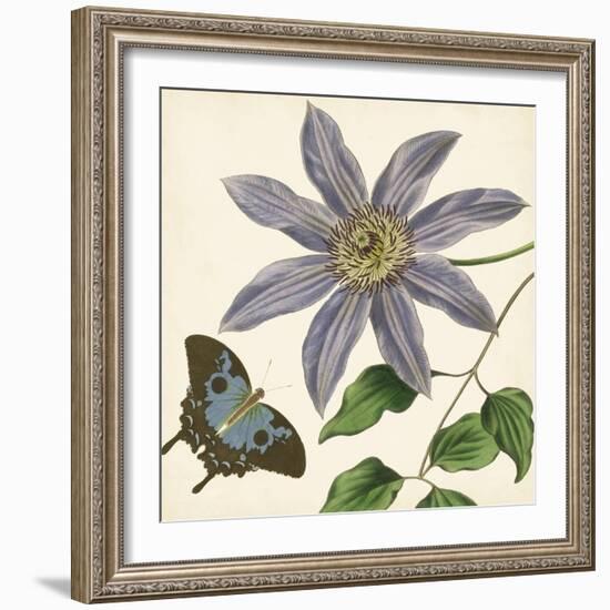 Garden Delight I-null-Framed Art Print