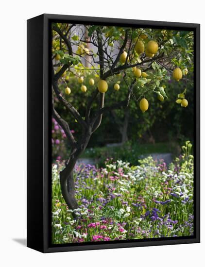 Garden Detail, San Domenico Palace Hotel, Taormina, Sicily, Italy-Walter Bibikow-Framed Premier Image Canvas