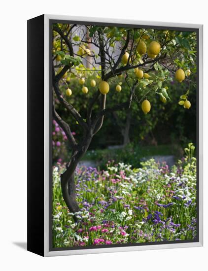 Garden Detail, San Domenico Palace Hotel, Taormina, Sicily, Italy-Walter Bibikow-Framed Premier Image Canvas