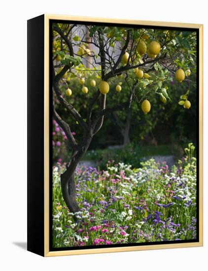 Garden Detail, San Domenico Palace Hotel, Taormina, Sicily, Italy-Walter Bibikow-Framed Premier Image Canvas