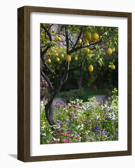 Garden Detail, San Domenico Palace Hotel, Taormina, Sicily, Italy-Walter Bibikow-Framed Photographic Print