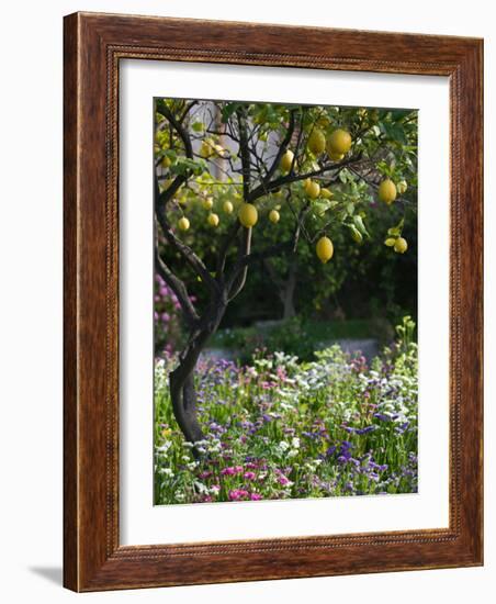 Garden Detail, San Domenico Palace Hotel, Taormina, Sicily, Italy-Walter Bibikow-Framed Photographic Print