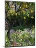 Garden Detail, San Domenico Palace Hotel, Taormina, Sicily, Italy-Walter Bibikow-Mounted Photographic Print