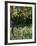 Garden Detail, San Domenico Palace Hotel, Taormina, Sicily, Italy-Walter Bibikow-Framed Photographic Print