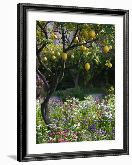 Garden Detail, San Domenico Palace Hotel, Taormina, Sicily, Italy-Walter Bibikow-Framed Photographic Print