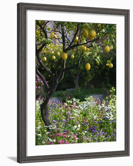 Garden Detail, San Domenico Palace Hotel, Taormina, Sicily, Italy-Walter Bibikow-Framed Photographic Print