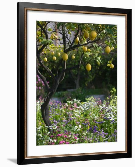 Garden Detail, San Domenico Palace Hotel, Taormina, Sicily, Italy-Walter Bibikow-Framed Photographic Print