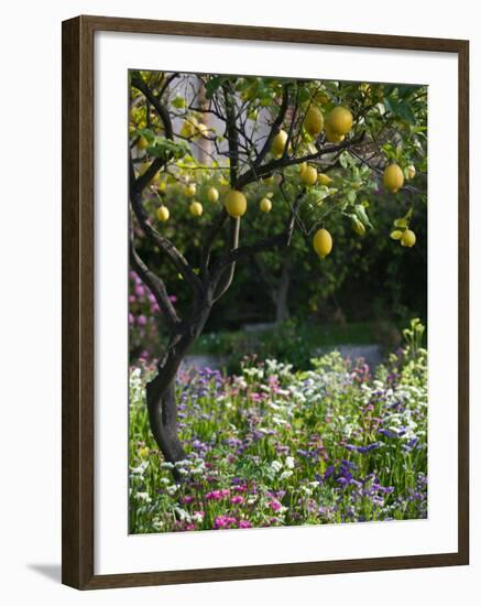 Garden Detail, San Domenico Palace Hotel, Taormina, Sicily, Italy-Walter Bibikow-Framed Photographic Print