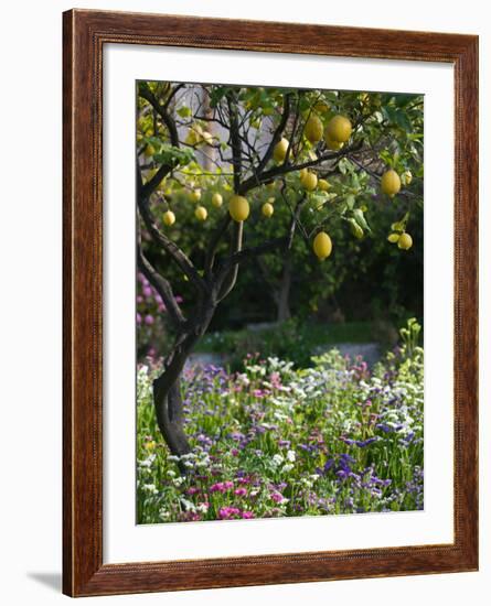 Garden Detail, San Domenico Palace Hotel, Taormina, Sicily, Italy-Walter Bibikow-Framed Photographic Print