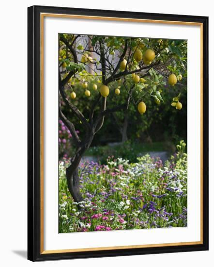 Garden Detail, San Domenico Palace Hotel, Taormina, Sicily, Italy-Walter Bibikow-Framed Photographic Print