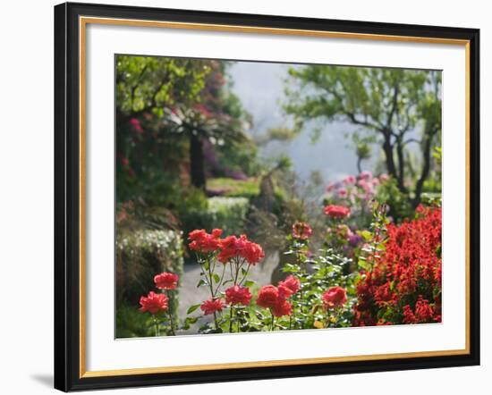 Garden Detail, San Domenico Palace Hotel, Taormina, Sicily, Italy-Walter Bibikow-Framed Photographic Print