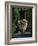 Garden Detail, San Domenico Palace Hotel, Taormina, Sicily, Italy-Walter Bibikow-Framed Photographic Print