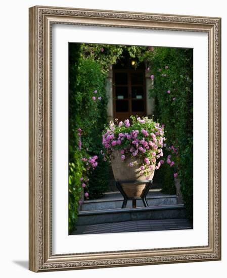 Garden Detail, San Domenico Palace Hotel, Taormina, Sicily, Italy-Walter Bibikow-Framed Photographic Print