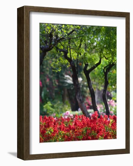 Garden Detail, San Domenico Palace Hotel, Taormina, Sicily, Italy-Walter Bibikow-Framed Photographic Print