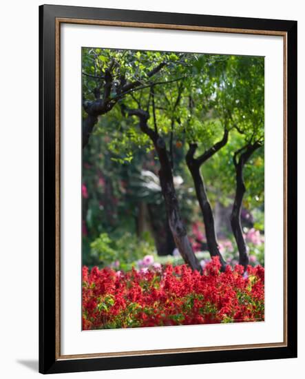 Garden Detail, San Domenico Palace Hotel, Taormina, Sicily, Italy-Walter Bibikow-Framed Photographic Print