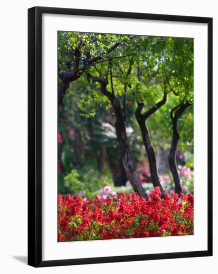 Garden Detail, San Domenico Palace Hotel, Taormina, Sicily, Italy-Walter Bibikow-Framed Photographic Print