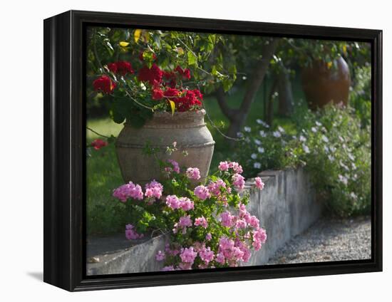 Garden Detail, San Domenico Palace Hotel, Taormina, Sicily, Italy-Walter Bibikow-Framed Premier Image Canvas