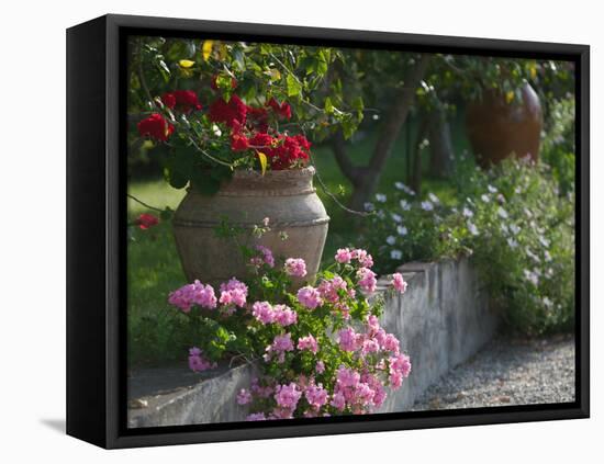 Garden Detail, San Domenico Palace Hotel, Taormina, Sicily, Italy-Walter Bibikow-Framed Premier Image Canvas