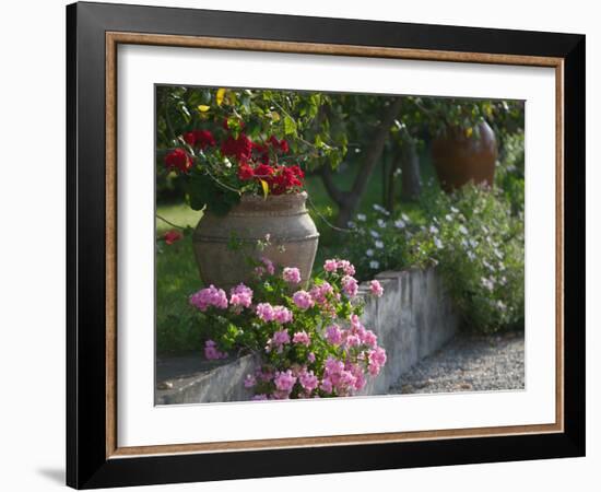 Garden Detail, San Domenico Palace Hotel, Taormina, Sicily, Italy-Walter Bibikow-Framed Photographic Print