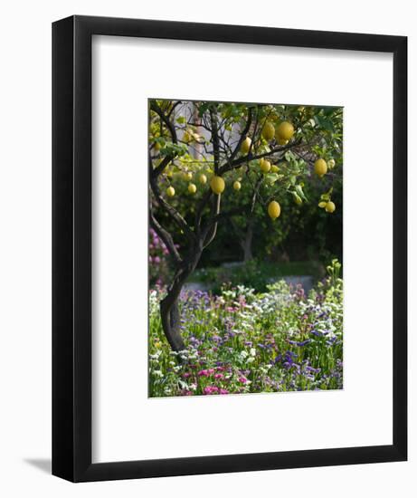 Garden Detail, San Domenico Palace Hotel, Taormina, Sicily, Italy-Walter Bibikow-Framed Photographic Print