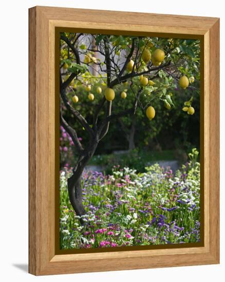 Garden Detail, San Domenico Palace Hotel, Taormina, Sicily, Italy-Walter Bibikow-Framed Premier Image Canvas