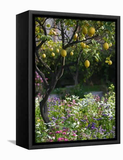 Garden Detail, San Domenico Palace Hotel, Taormina, Sicily, Italy-Walter Bibikow-Framed Premier Image Canvas