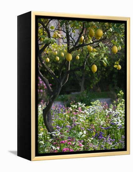 Garden Detail, San Domenico Palace Hotel, Taormina, Sicily, Italy-Walter Bibikow-Framed Premier Image Canvas