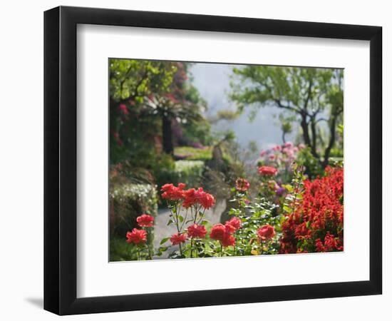 Garden Detail, San Domenico Palace Hotel, Taormina, Sicily, Italy-Walter Bibikow-Framed Photographic Print