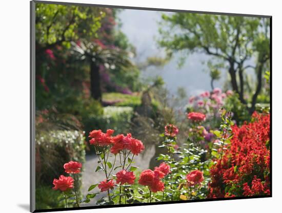 Garden Detail, San Domenico Palace Hotel, Taormina, Sicily, Italy-Walter Bibikow-Mounted Photographic Print