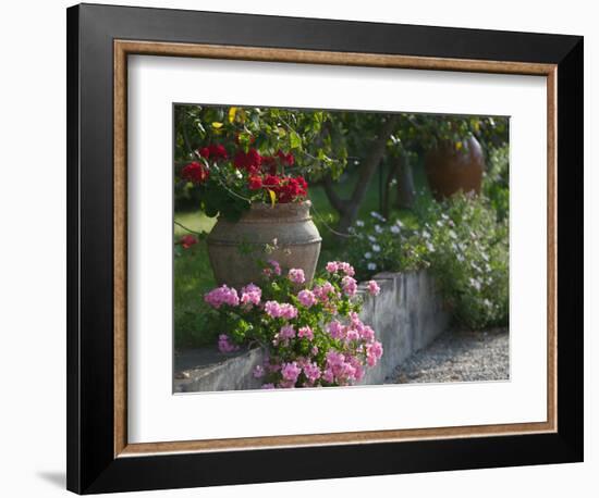 Garden Detail, San Domenico Palace Hotel, Taormina, Sicily, Italy-Walter Bibikow-Framed Photographic Print